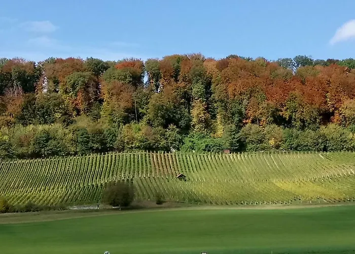 Ferienzimmer Zuelli Bed and Breakfast Erlach