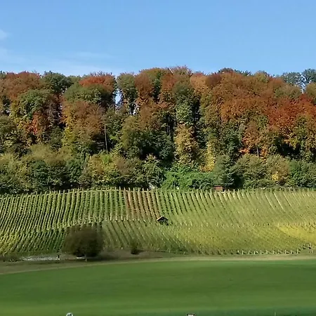 Ferienzimmer Zuelli לינה וארוחת בוקר Erlach